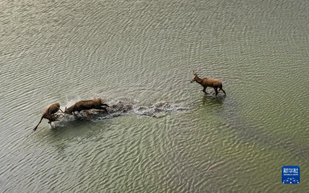 扑克牌两人玩法